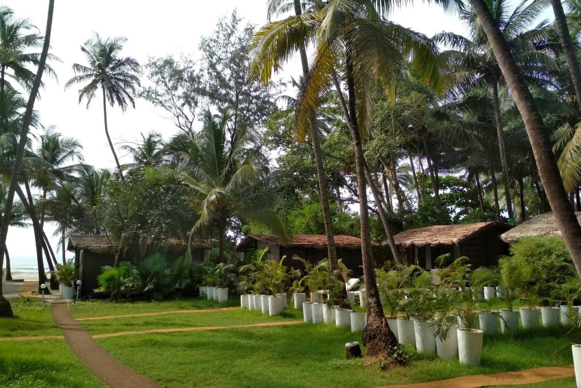 Mamagoa Beach Resort Mandrem Extérieur photo